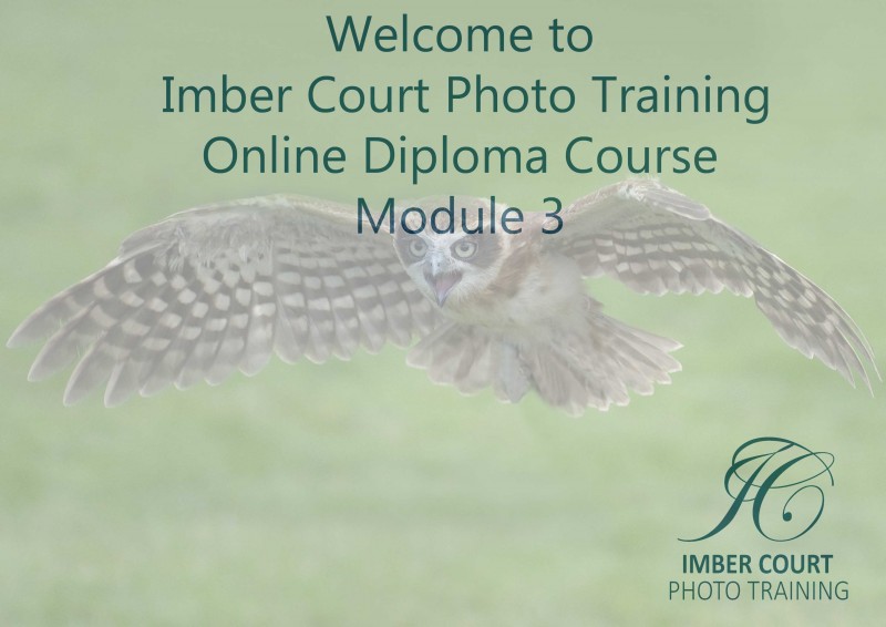 Beginners Online Photography Course Module 3